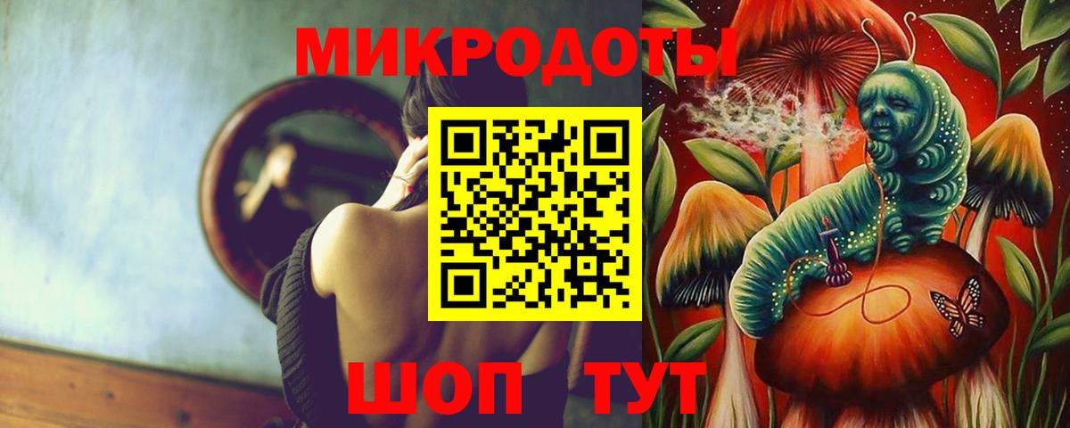 Галлюциногенные грибы Psilocybine cubensis Муром